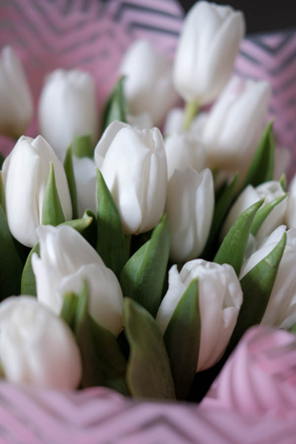 Монобукет белых тюльпанов1