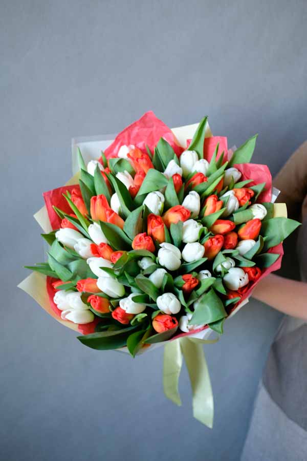 Букет из красных и белых тюльпанов (1)